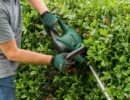 Bosch UniversalHedgeCut Corded 480W Hedge trimmer - 600mm